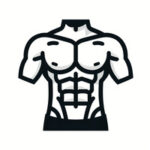 muscular torso