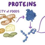 World of Proteins