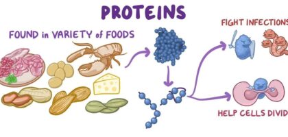 World of Proteins